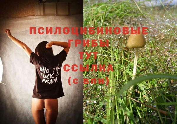 jwh Инсар