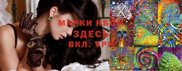 твердый Зерноград