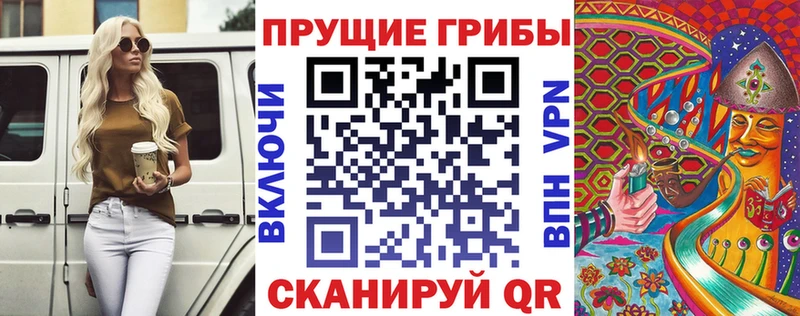 Купить закладки Губкин Галлюциногенные грибы мицелий
